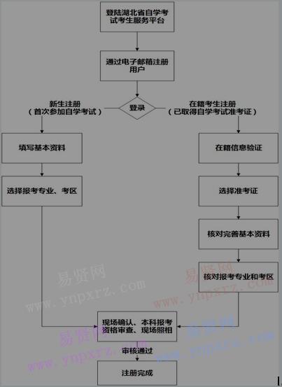 湖北省高等教育自学考试网上注册与现场确认流程图