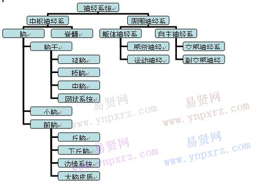 考研基礎(chǔ)階段:心理學(xué)導(dǎo)論梳理(2)