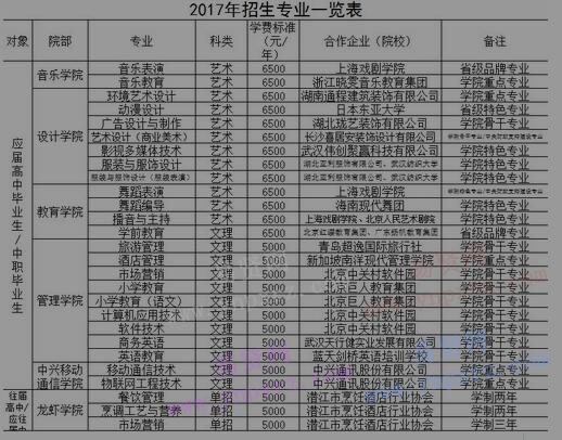 2017年江汉艺术职业学院招生专业