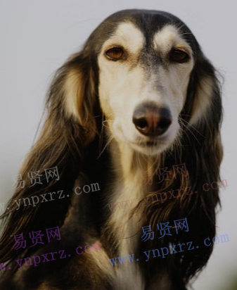 名单