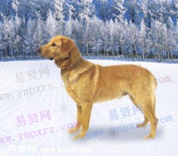 名单