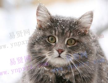 名单