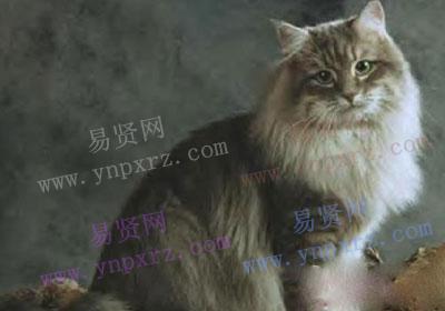 名单