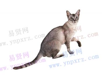 名单