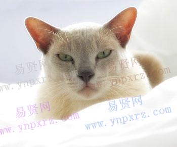 名单