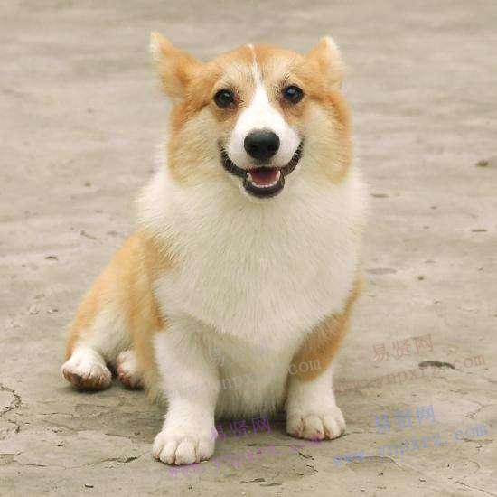 名单