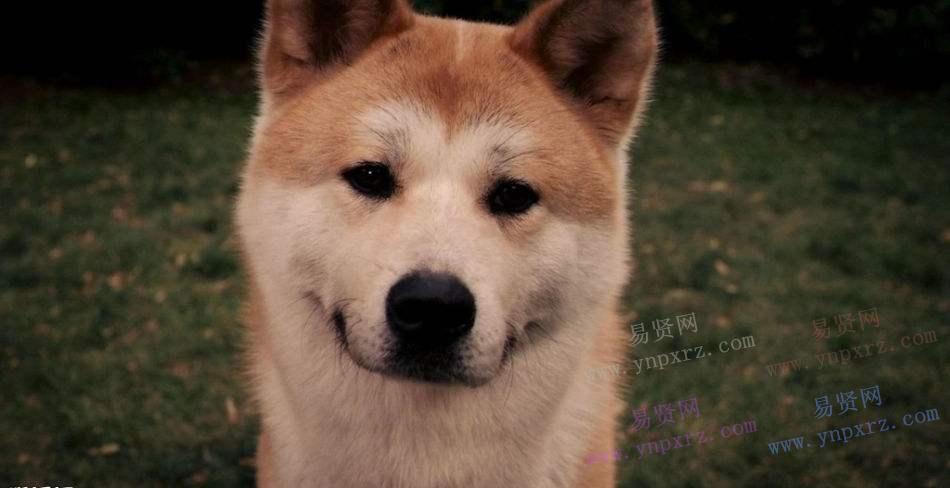 名单