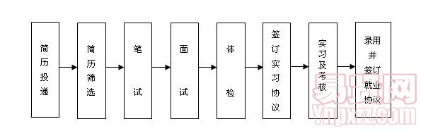 招聘流程
