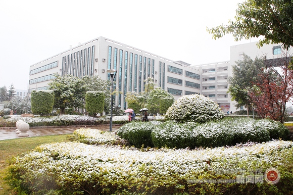 楚雄師范學院——校園瑞雪