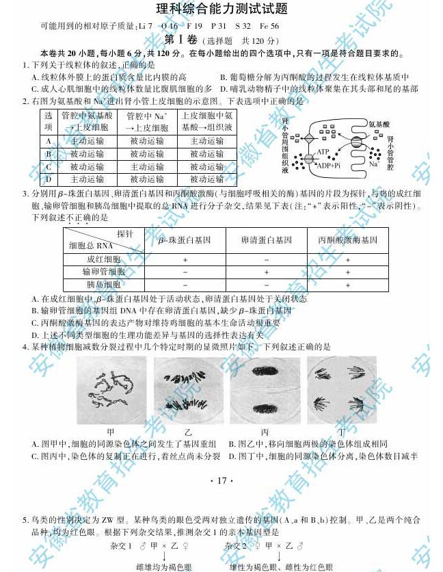 2014年安徽高考理科綜合能力測(cè)試試題及參考答案