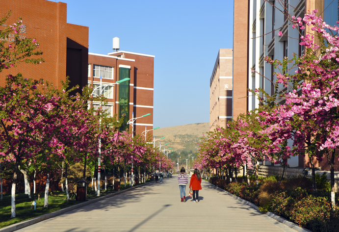 云南经济管理学院