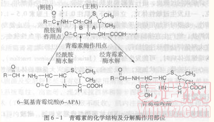 名單