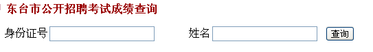 2015年盐城市东台市招聘医药卫生类工作人员成绩查询入口