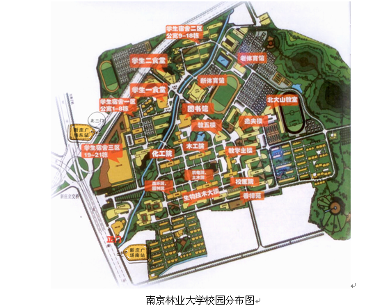 南京林业大学手绘地图图片