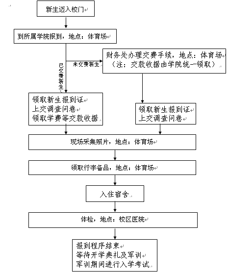 名字