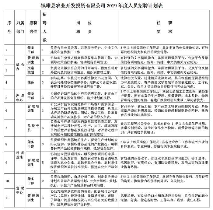 招聘计划表